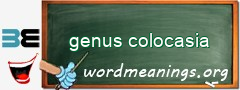 WordMeaning blackboard for genus colocasia